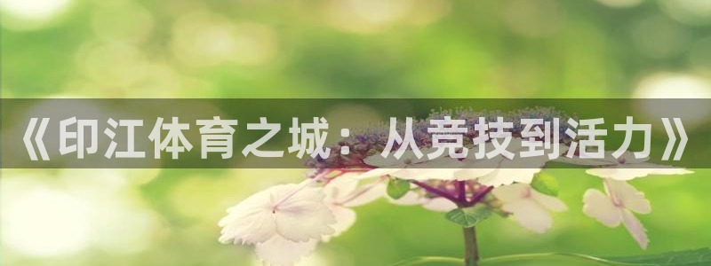 沐鸣2体育凯捷代理注册