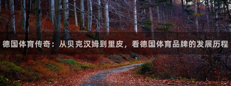 沐鸣22登录