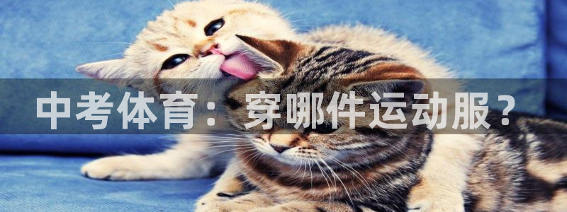 沐鸣24登录