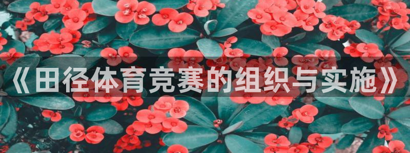 ii博导登录入口