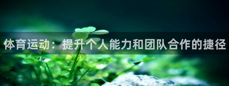 沐鸣22平台注册