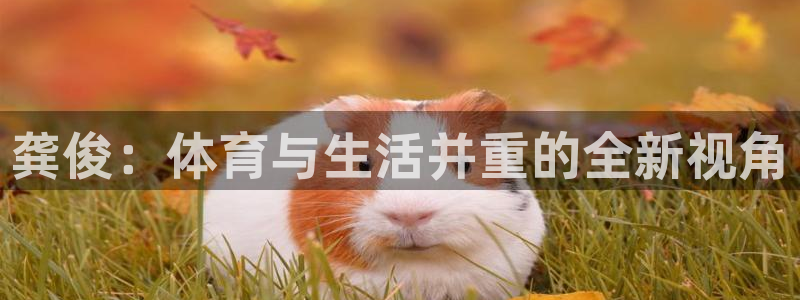 沐鸣平台