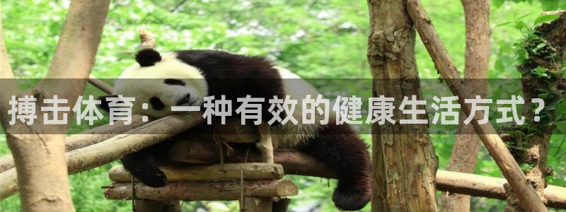 沐鸣23平台登录注册