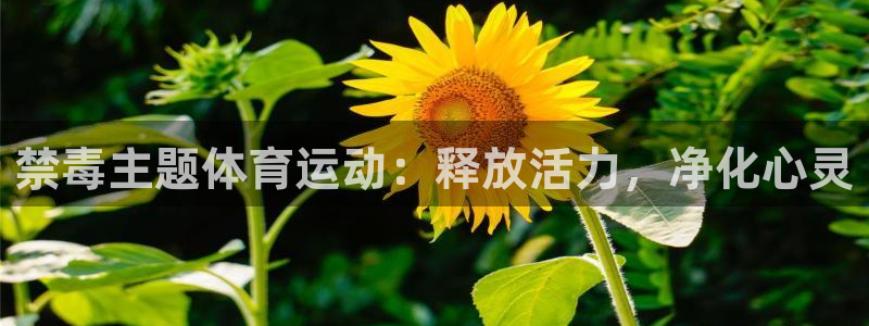 沐鸣22平台注册