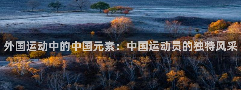 沐鸣24官网
