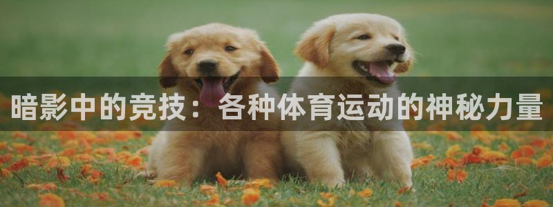 沐鸣2体育官网
