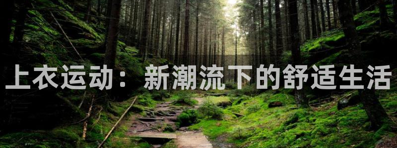 成都沐鸣2电子有限公司