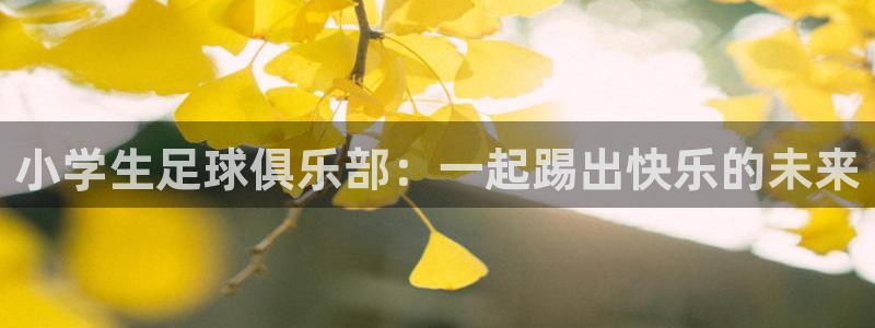 沐鸣25