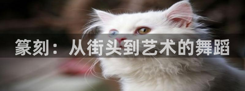 沐鸣2体育f开号