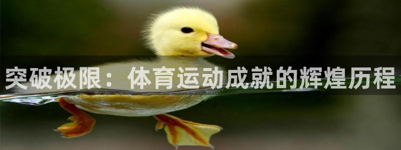 沐鸣注册登录